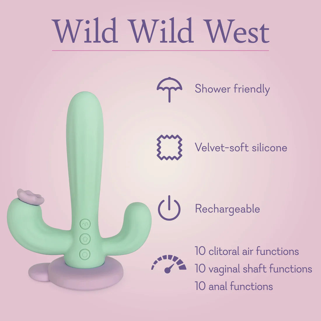 WIld Wild West