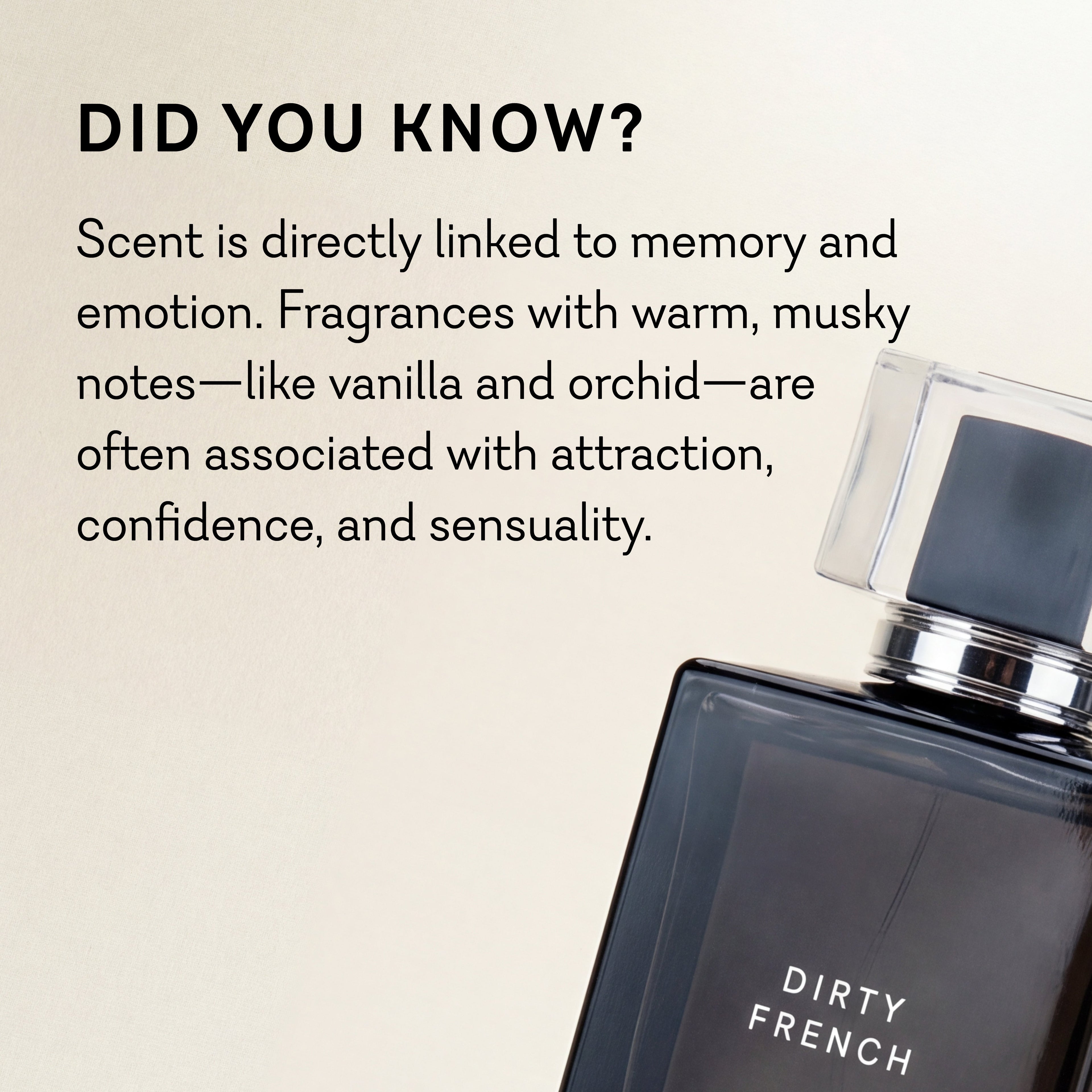 Dirty French Perfume