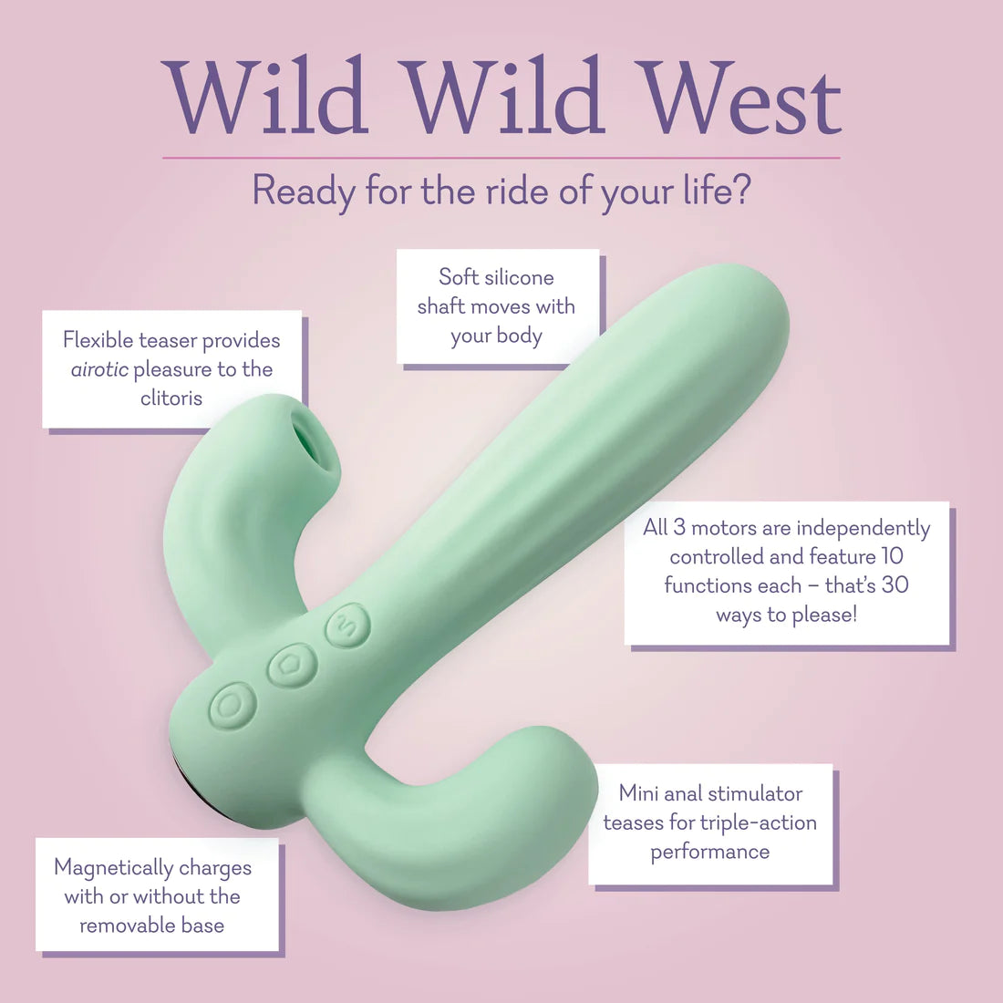 WIld Wild West