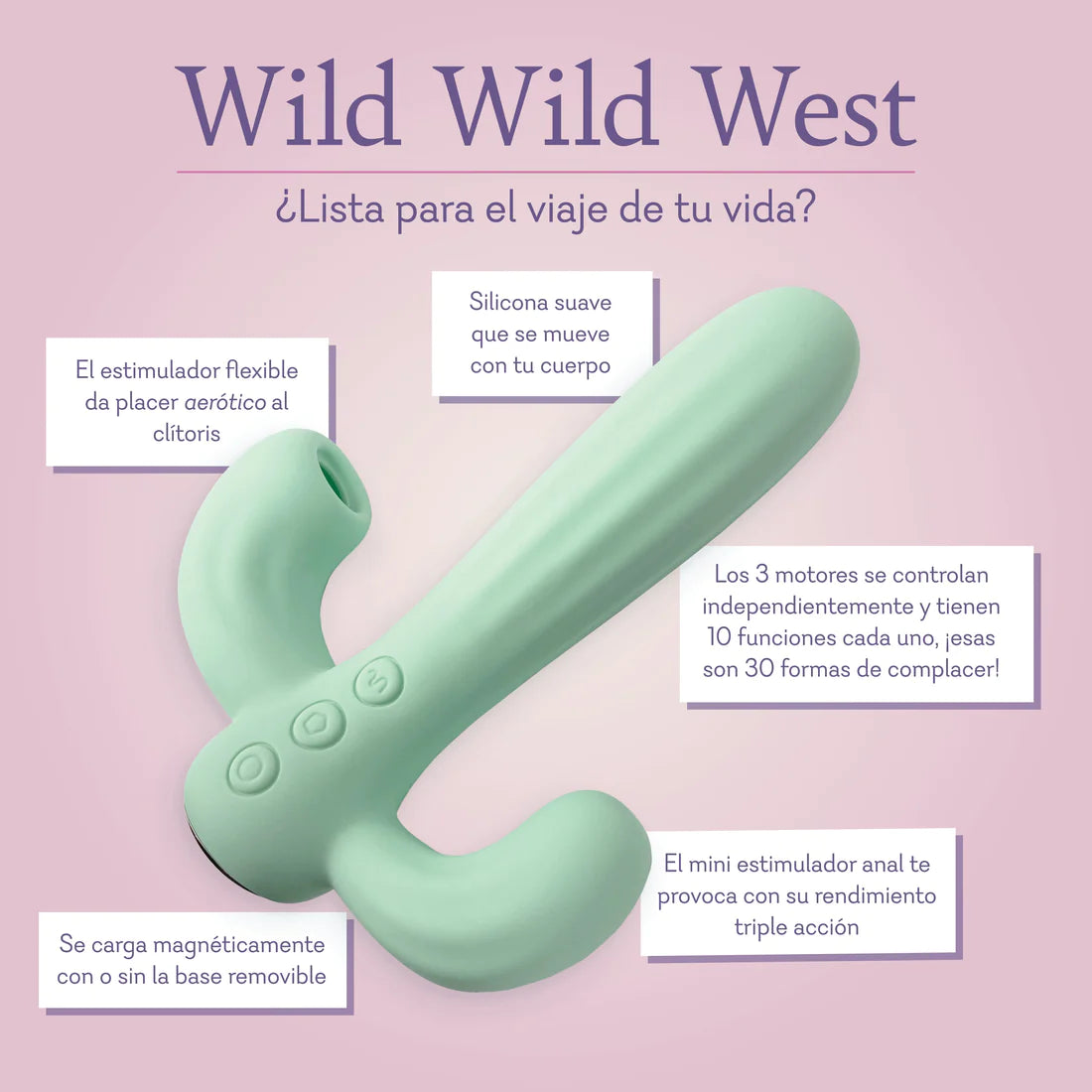 WIld Wild West